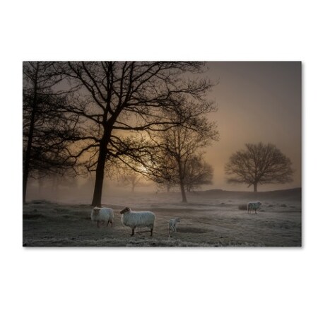 Trademark Fine Art Piet Haaksma 'Foggy Morning' Canvas Art, 12x19 1X00471-C1219GG